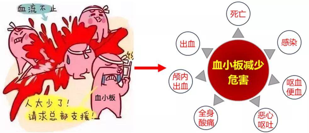 乙肝肝友拿什么拯救你减少的血小板
