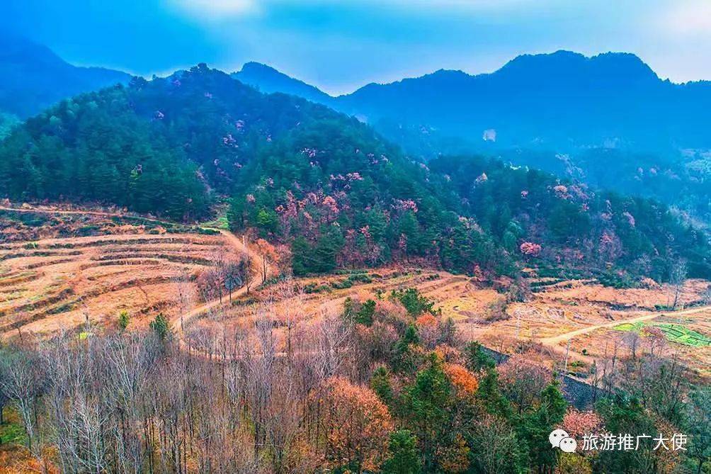 风景区|情牵天堂寨姊妹山——佛顶寨