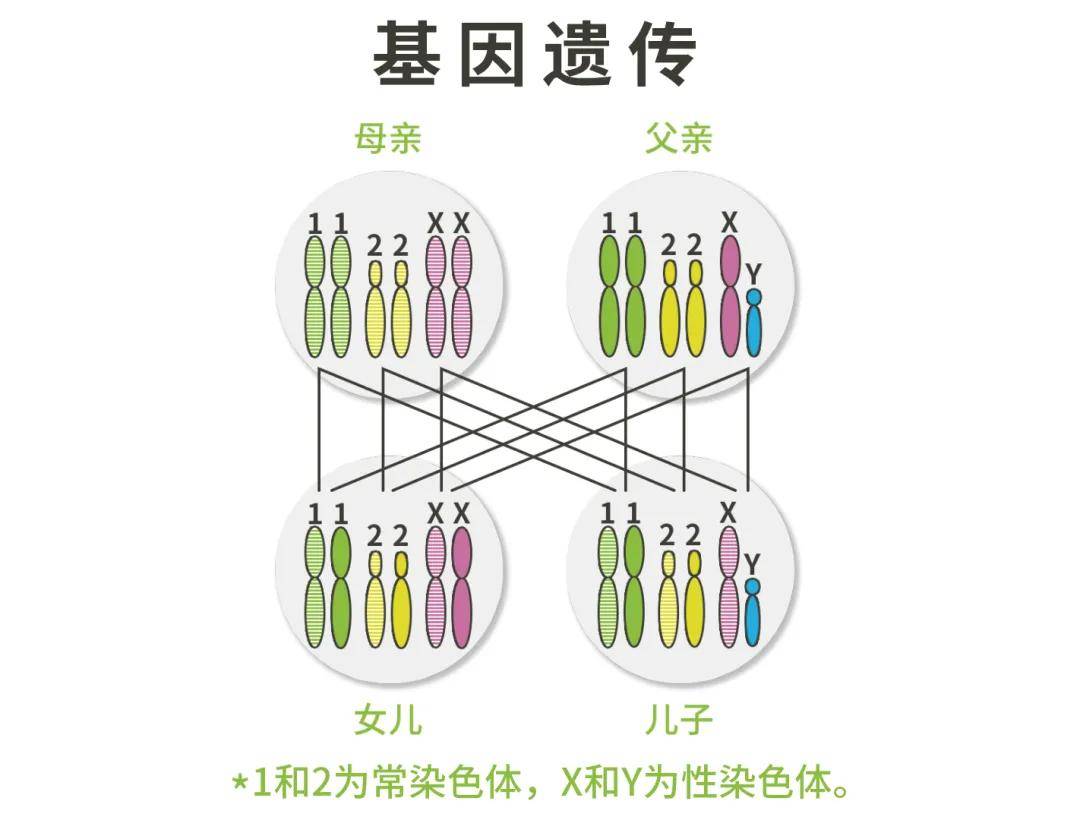 每個人都應該知道的遺傳性耳聾二三事帶你瞭解耳聾基因相關問題