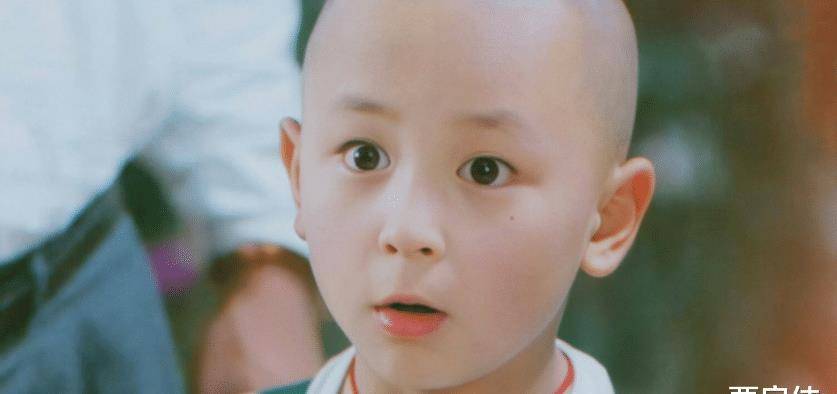 元奎|“红极一时到落寞”的10位真功夫明星，每个都很可惜，有人已老去