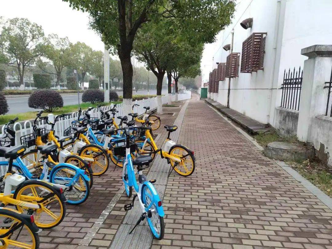 共享单车停哪儿 fdb34584ac37486db17094f69d8fe9f6.jpeg