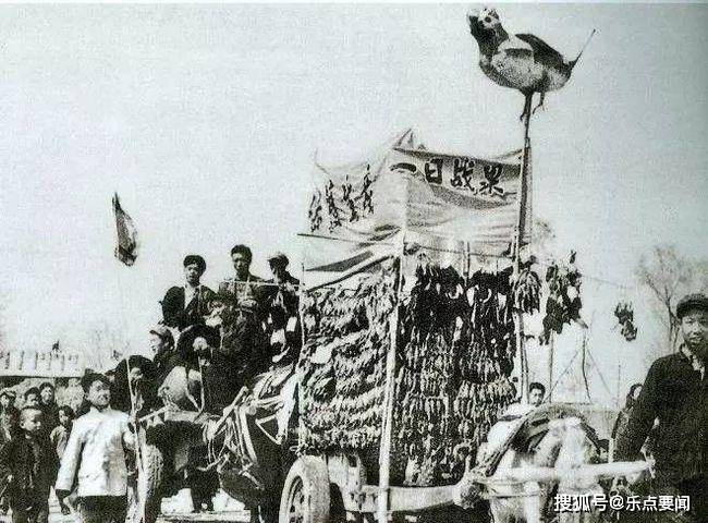 什么是四害为什么要除四害 24d4e158e1414a8192a4e53e67416255.jpeg