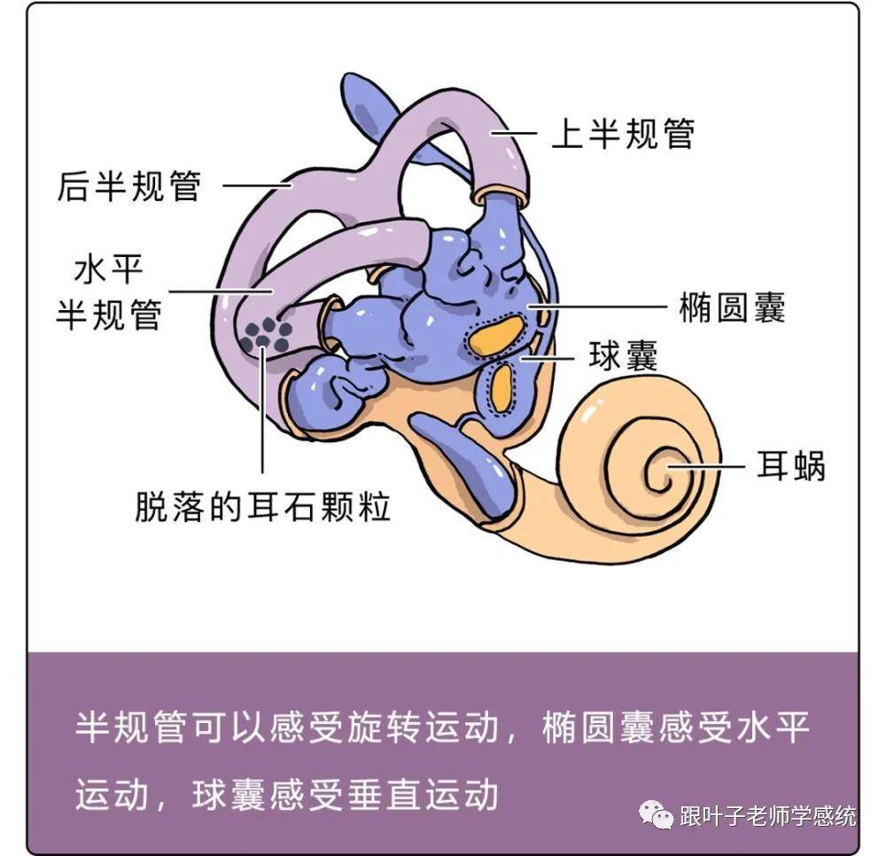 d39a7f3dfd6a48a49c4bf1120907028e.jpeg