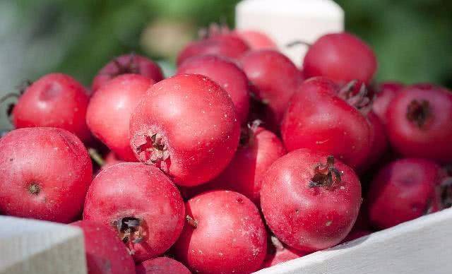 吃什么药能消除乳腺肿块 e3f35756d0f847c8a68210746399716d.jpeg