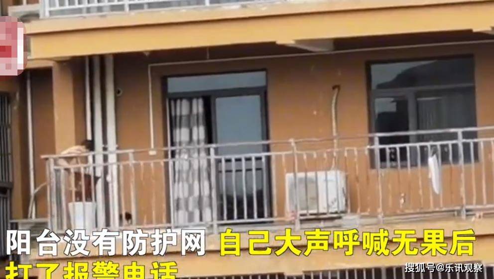 阳台有必要做防护网么 7c88ddccc18746ceb0ac31d61e45b686.jpeg