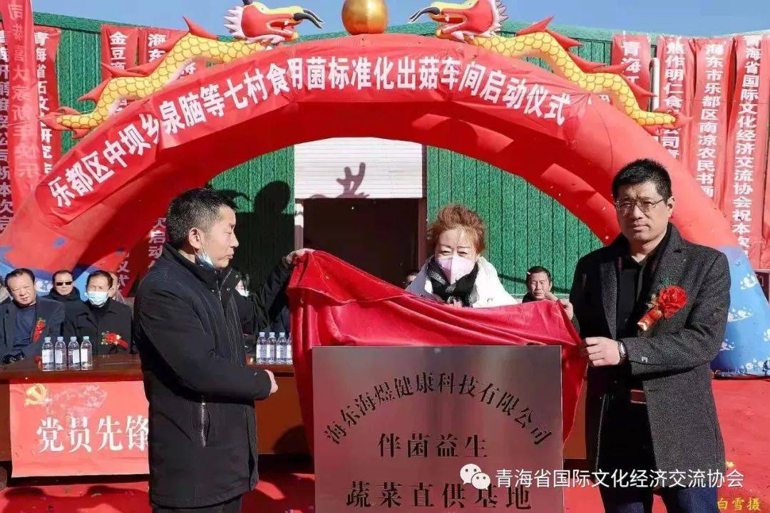 乐都区中坝乡泉脑等七村启动食用菌标准化出菇车间_青海省_仪式_海东