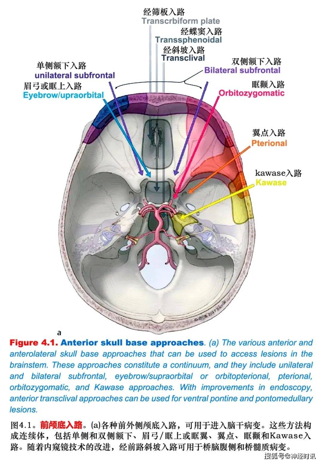 第四版　口腔外科学 鲁械广审(文)第2023052864号」
