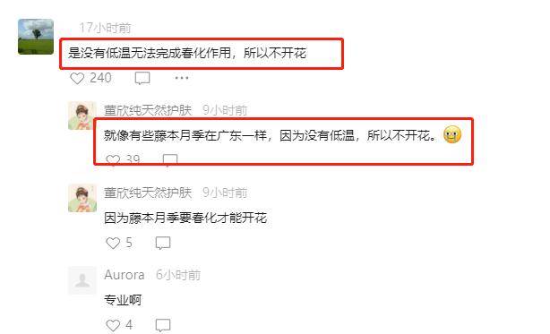0e6c272cfd364f2989da2a12080aeb7a.jpeg