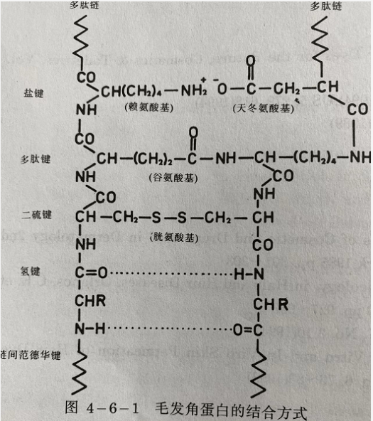 预警春节烫染预警！如何避免掉色、干枯和毛躁，这10件单品你必须拥有