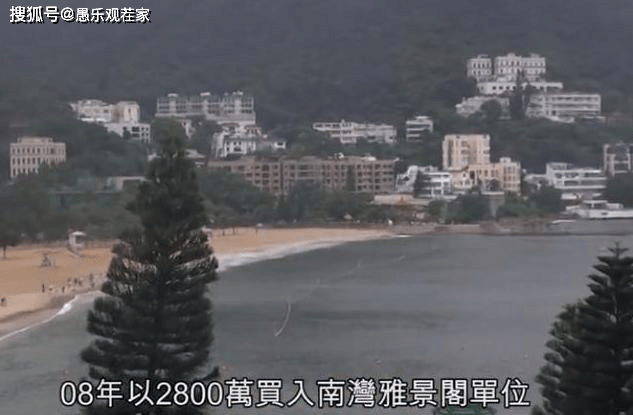 蒙嘉慧跨行房地產，為打理公司苦學日語，網友：沒想到是個學渣 娛樂 第3張