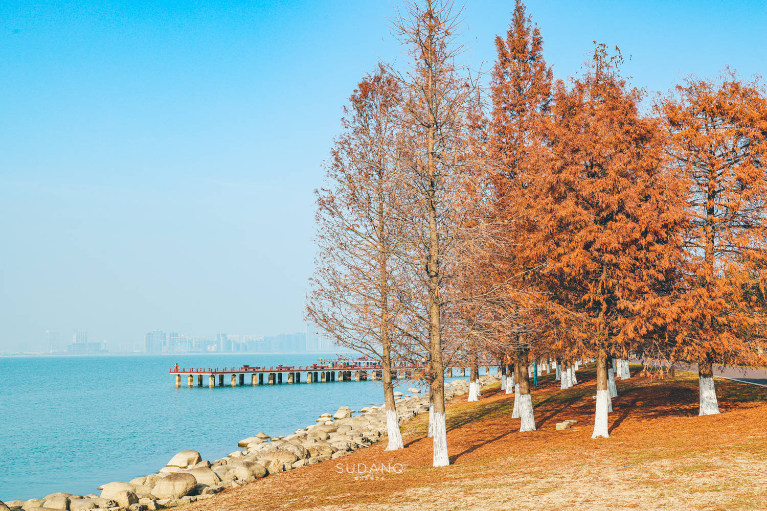 太湖|苏州湾大剧院：中国第3大剧院综合体，航拍之下发现吴江真富有