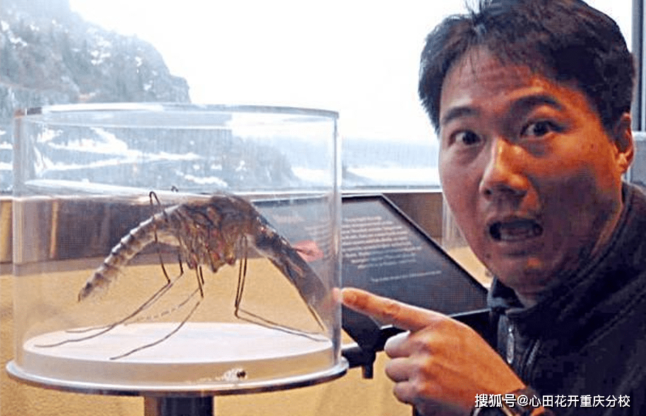 无法解释的诡异事件 3747d1598b13415cb696055418701585.png