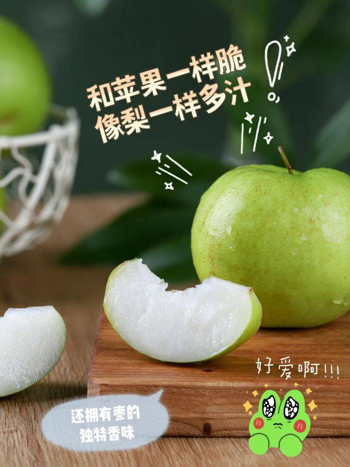 苹果的原壁纸在哪里 4637b9d01a0146ab9261dc7425f04698.jpeg