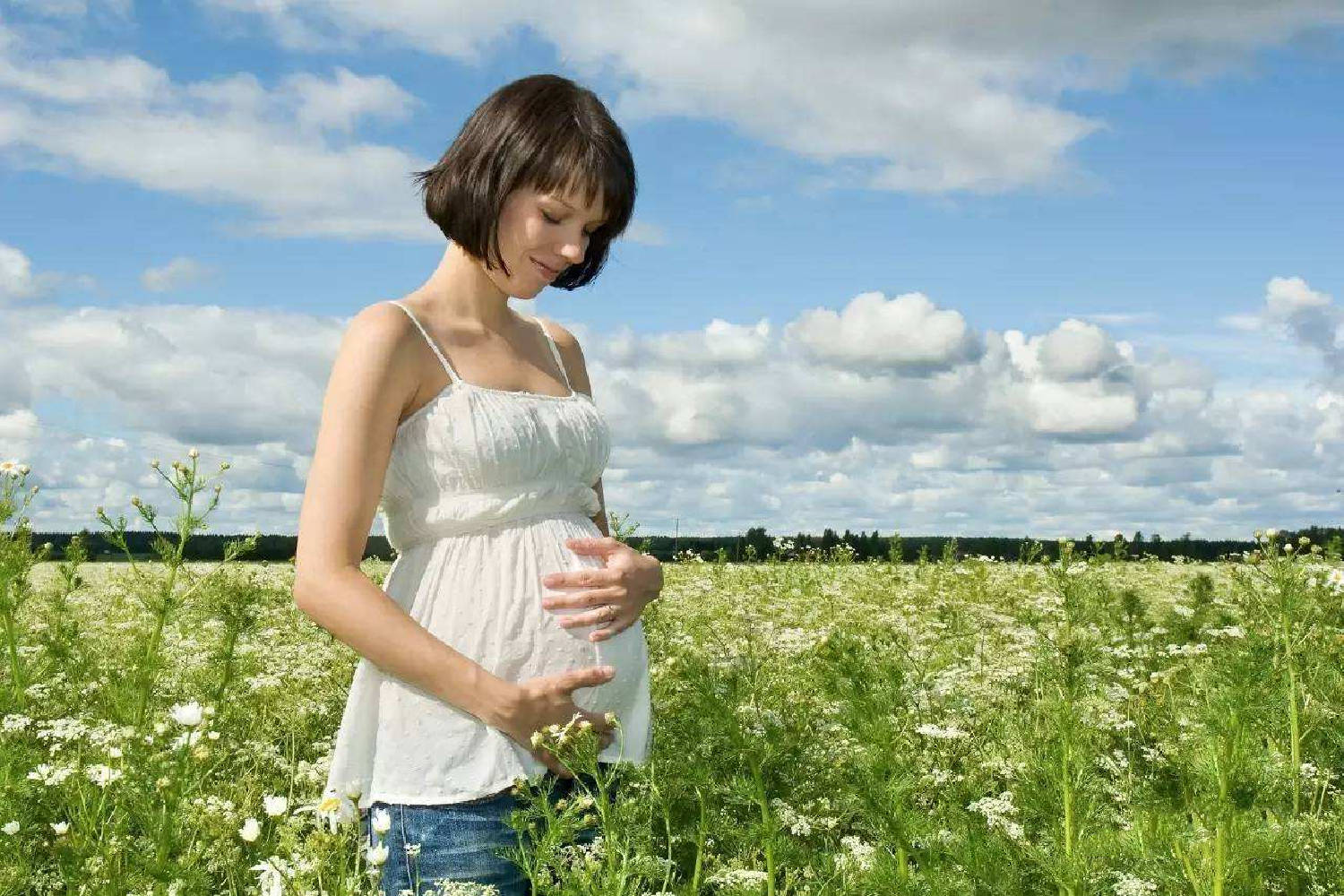 智商|遗传和孕期营养，哪个对宝宝的智商影响更大？附孕期饮食指南