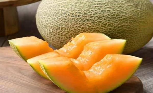 哈密瓜怎么吃起来苦的 e765ca72e814432098b7d2a45bb52f9d.jpeg