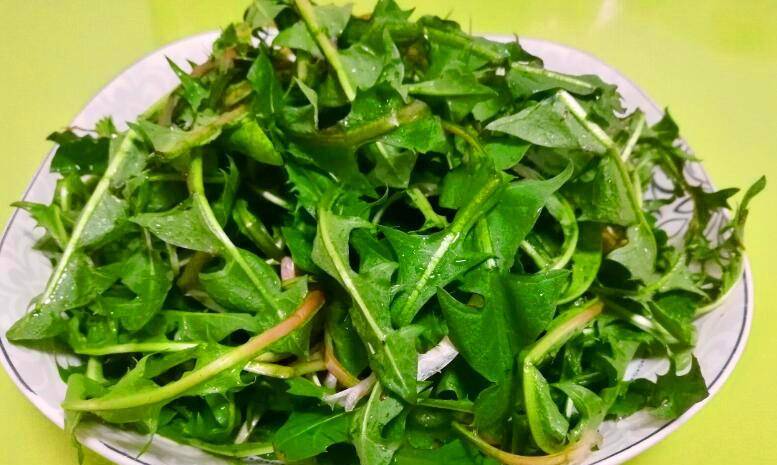 婆婆丁鲜花怎么吃