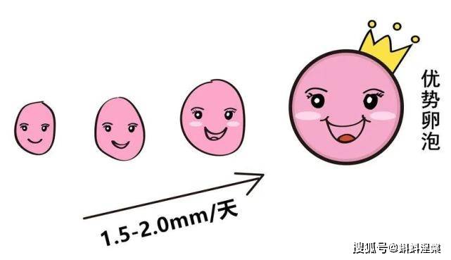 126e4eda790e43c5abdf9e829eb9d40a.jpeg