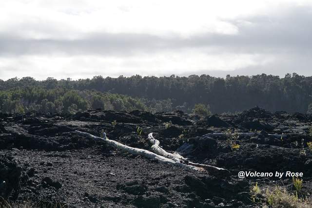 入海|世界上唯一可以开车进入的火山公园，看火山喷发、熔岩入海