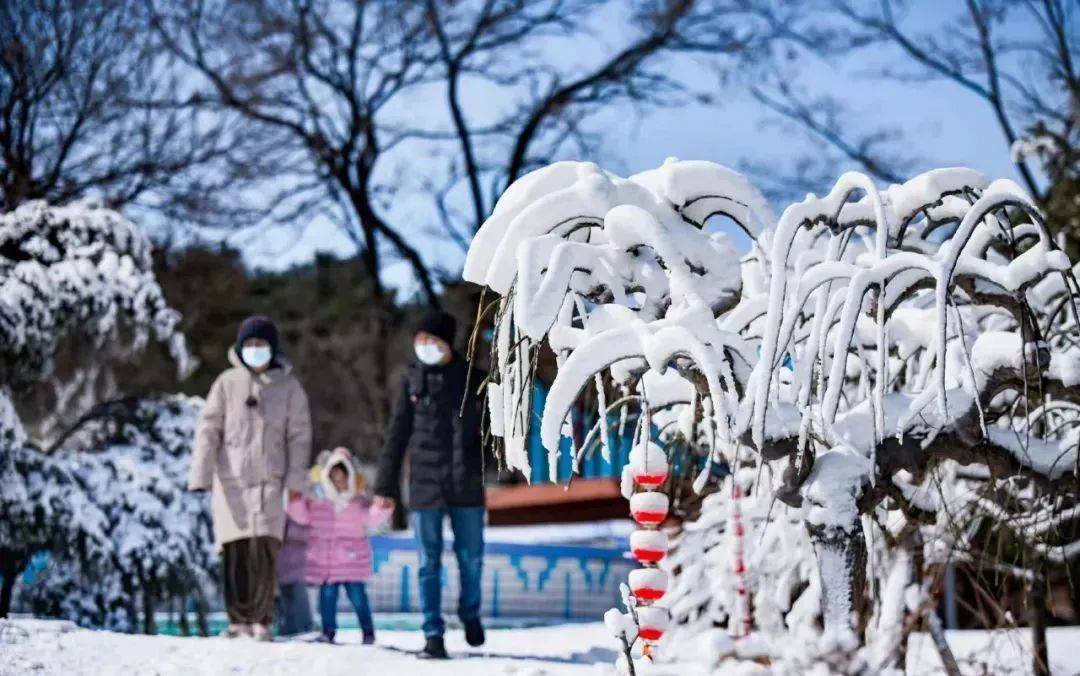 地点|走，玩雪去！沉浸式济南戏雪地点集结，快来看看你要翻谁的牌！