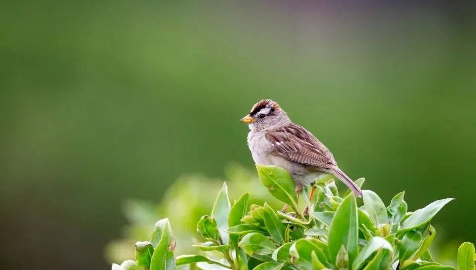 厨房从烟灶消到样样不能少,厨电产业收获消费升级红利-家电圈官网