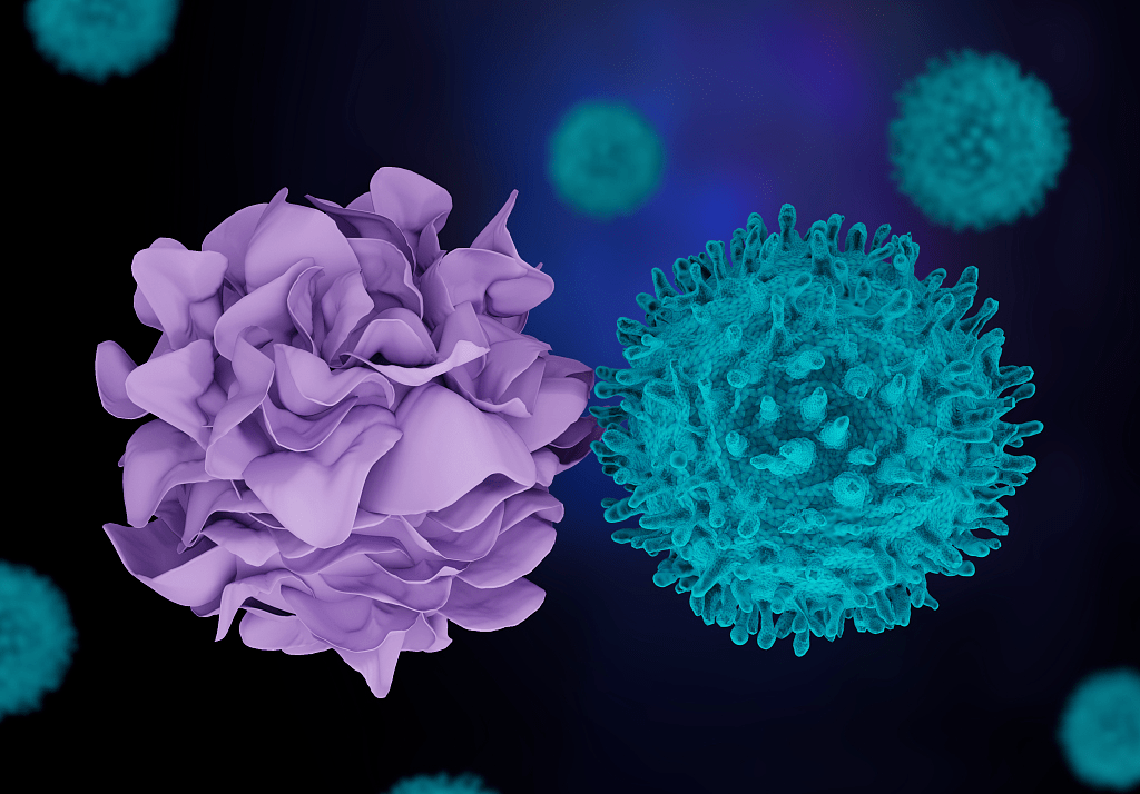 细胞学院守护健康的各种免疫细胞你能分清吗