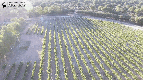 Beijing|第八届顶级西班牙葡萄酒盛大品鉴会与您相约三月