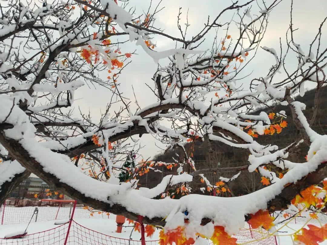 地点|走，玩雪去！沉浸式济南戏雪地点集结，快来看看你要翻谁的牌！