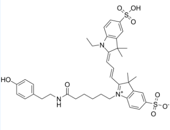 橙色荧光试剂 174961-75-2，Cyanine 3 Tyramide，氰基-3-酪酰胺 的应用介绍