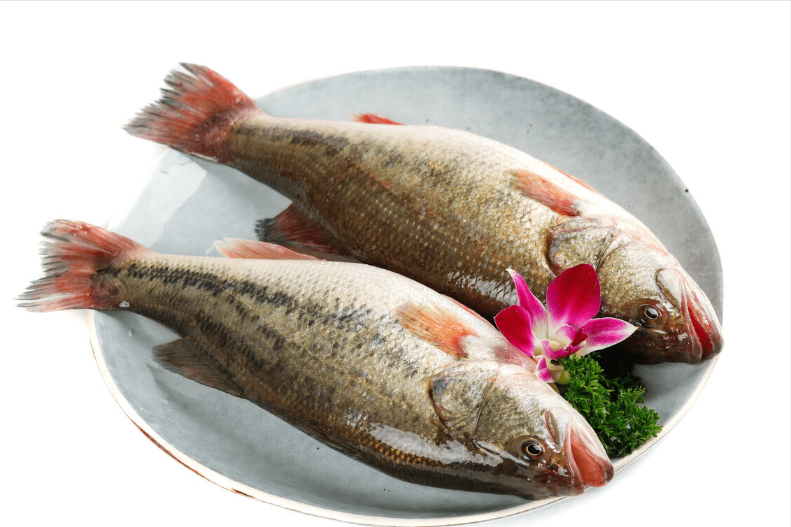 在我们当地的市场上,除了四大家鱼,鲈鱼是卖得最