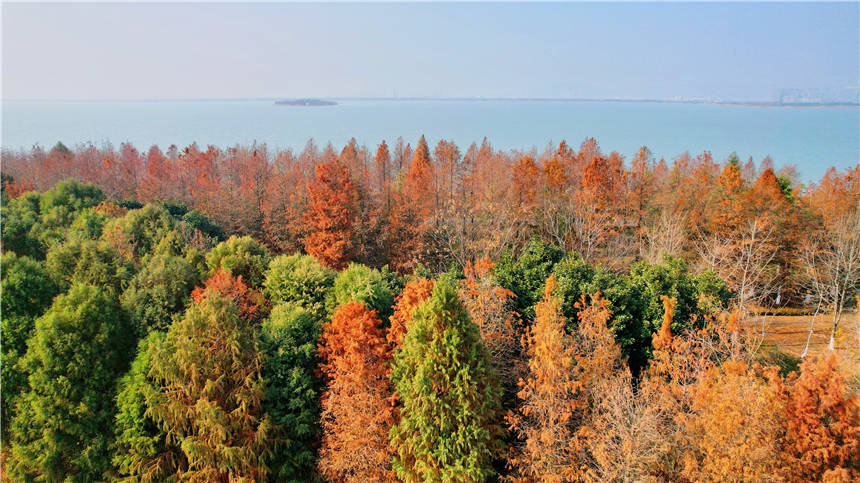 太湖|新年旅行，解锁苏州的13种文艺玩法，喝咖啡逛书店泡温泉赏美景