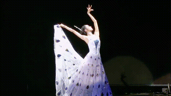 杨丽萍孔雀公主的名号就此打响,1986年,杨丽萍带着自己的独舞作品