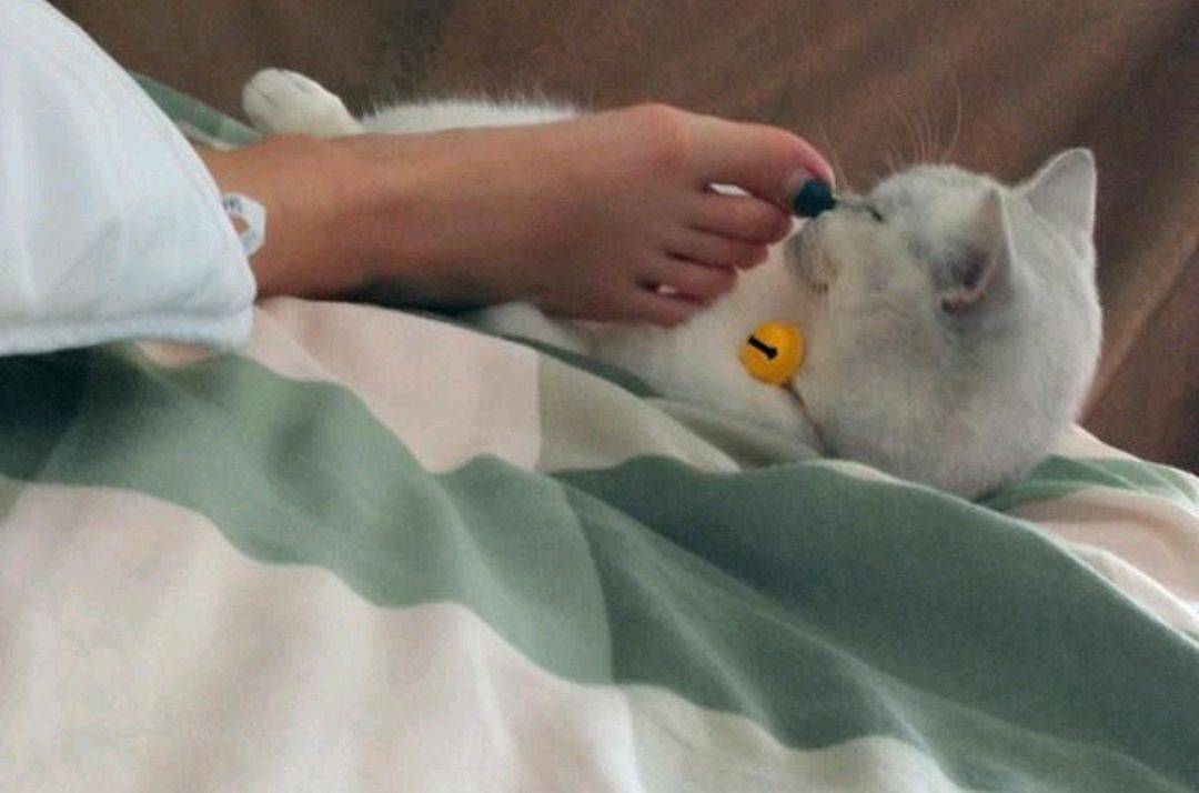 晚上睡觉把脚露在外面的人,是身体有问题?会引来"老寒腿"吗?