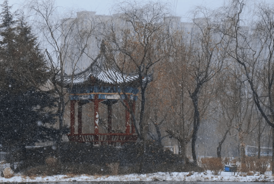 冬日印象雪后校园美景如画