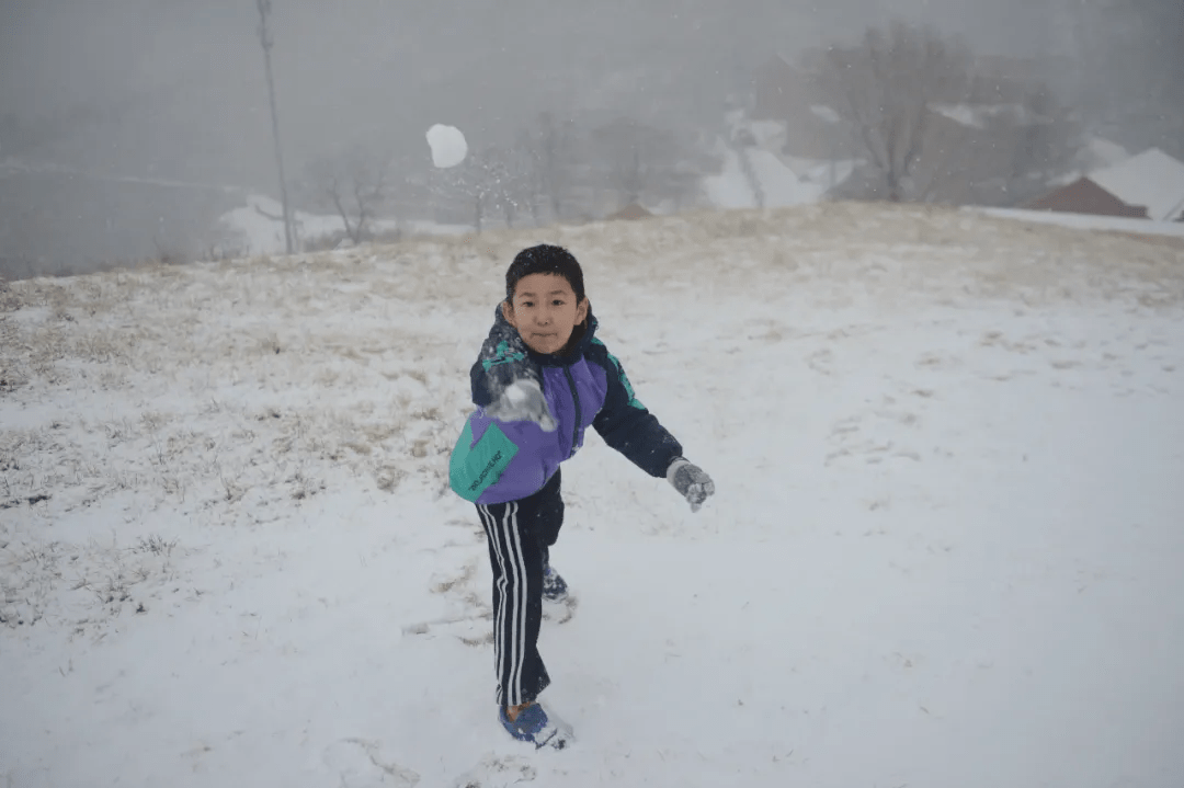 济南|赏雪景，看万点星光！这份快乐不能错过