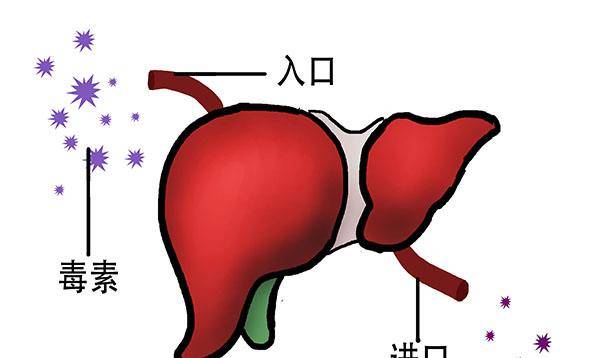 厕所|上厕所时发现有3种异常，值得警惕：可能是肝病到访了，要重视