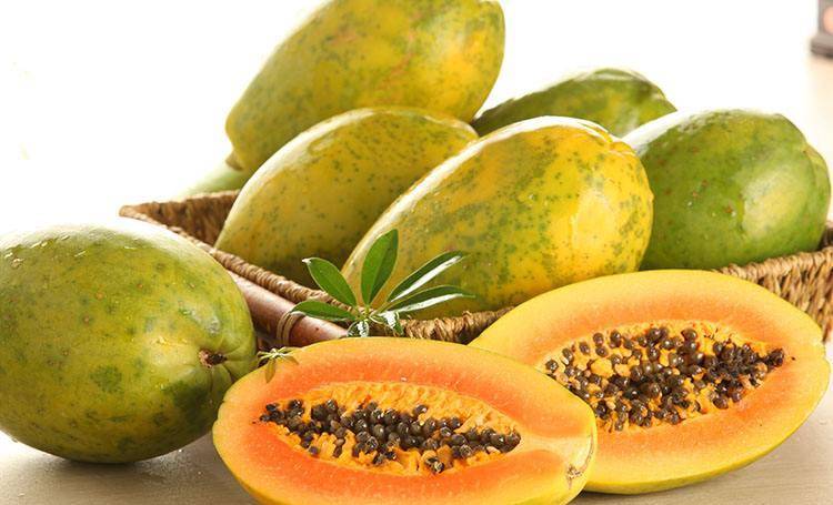 怎样种木瓜又大又甜 416a80a9c4b441d291694d45137182ed.jpeg