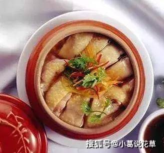 美食精选 花旗参炖水鸭 鸭冬瓜汤 嗜嗜滑鸡煲 肉末四季豆做法 鸡块 红椒 豆豉