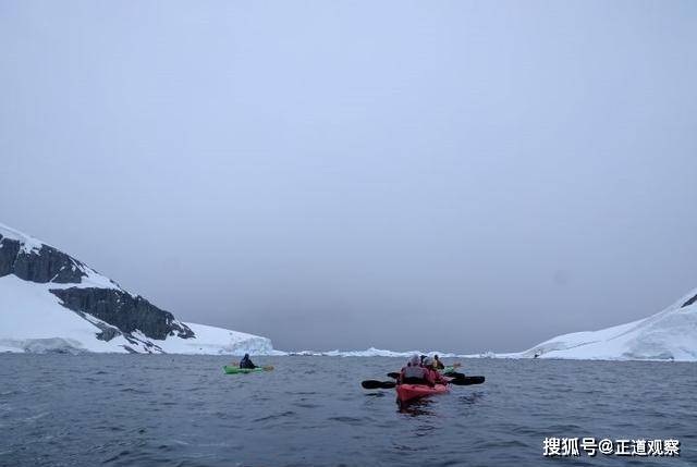 在南极游泳是种怎样的体验？其实不冷，还蛮舒服的