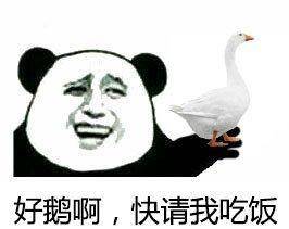 1644482f2aae4e3981bf935e15490ffd.jpeg