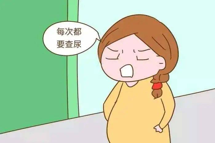 怀孕尿检报告怎么看
