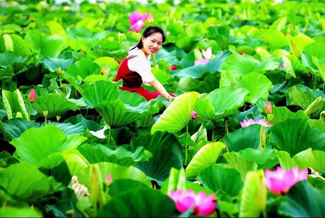 夏天映日荷花,采莲姑娘一排排,龙舟劲放最吸引游客目光;秋日丰收的