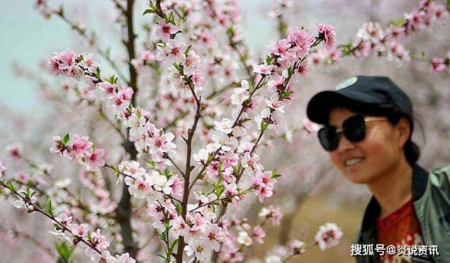 山西运城：万亩桃花飘香引客来