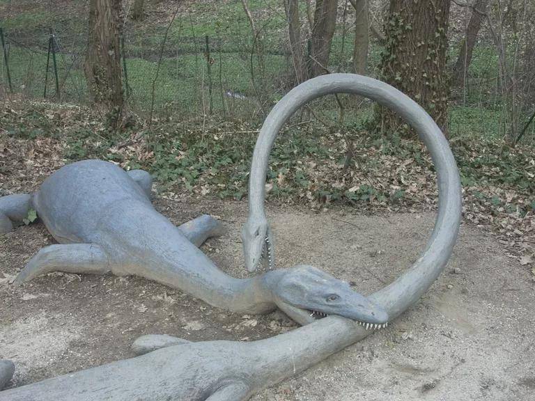 tanystropheus的简介_脖子_爬行动物_颈部