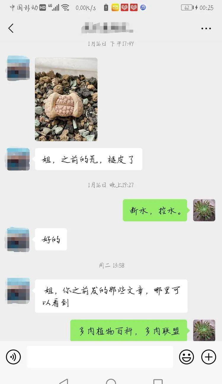 d1a0fae70f50441da09df1d09685f448.jpeg