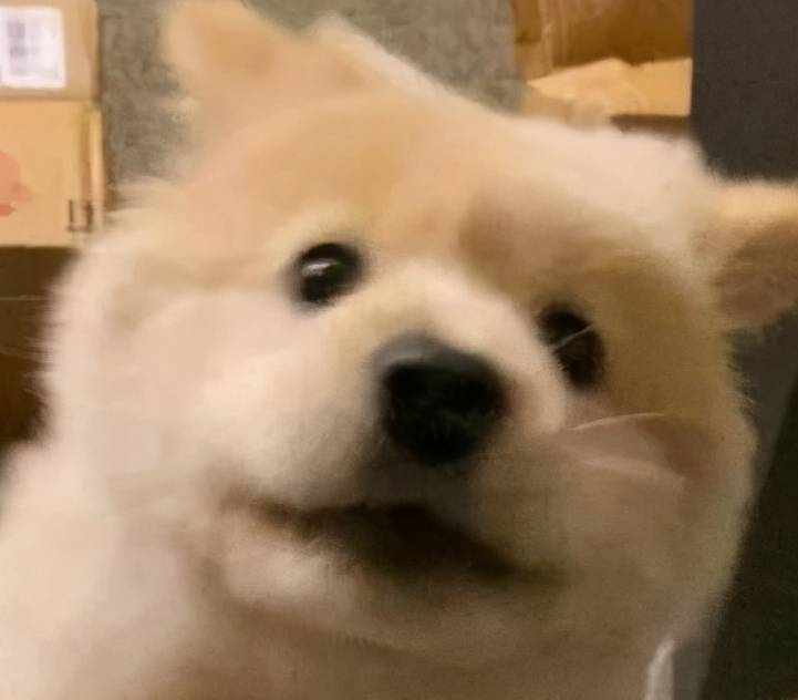 fdcf286d9e6a42e6a9e811564943202a.jpeg