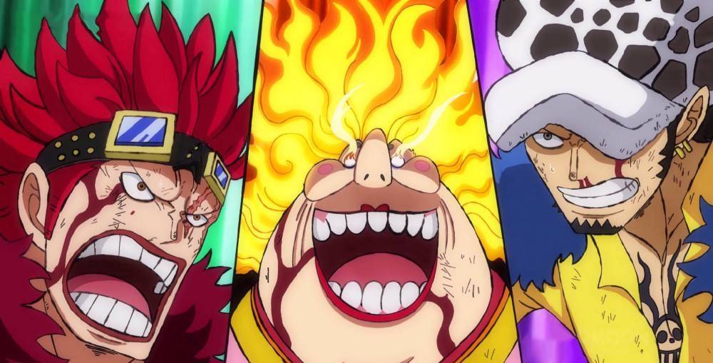 蜘蛛|海贼王1038话，尾田承认基德、罗仰卧起坐，他在漫画进行了吐槽