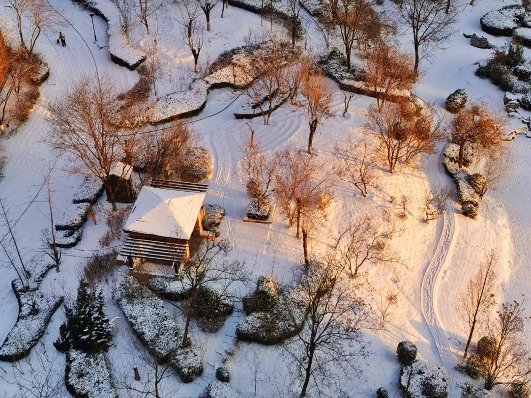 瑞雪|瑞雪踏春迎新年