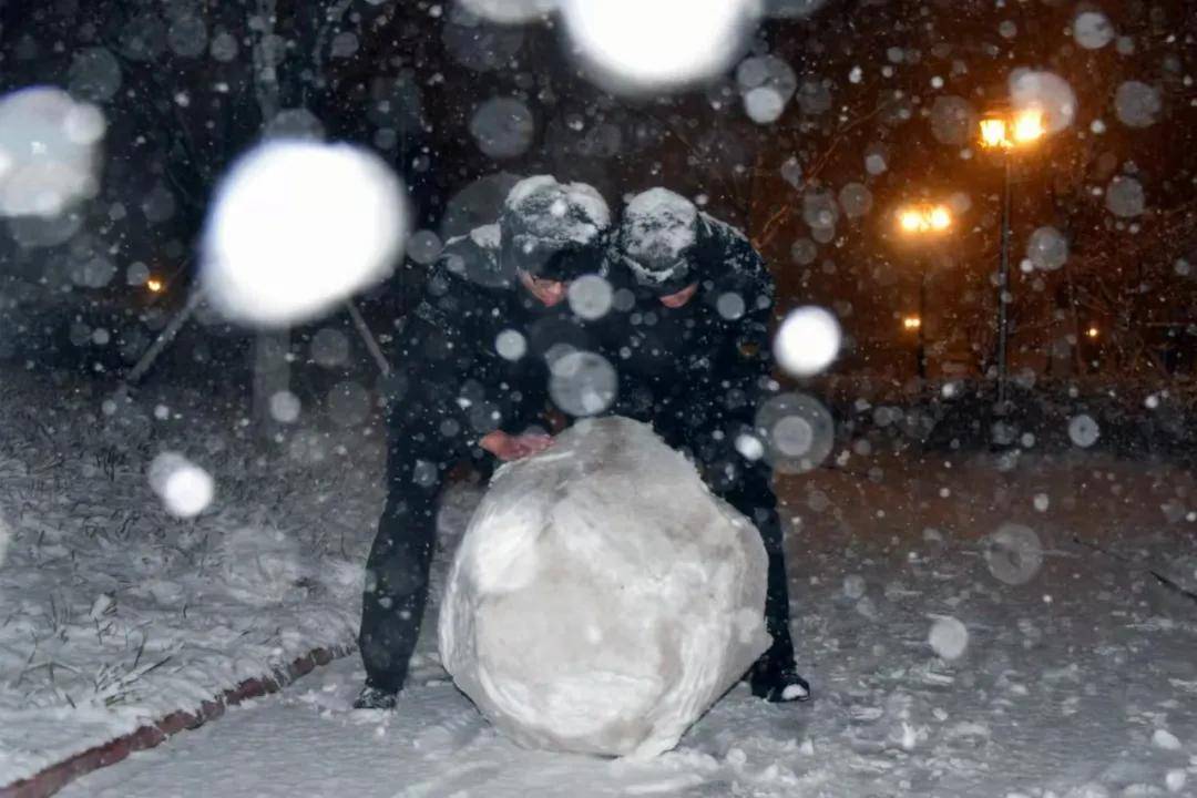 瑞雪|瑞雪踏春迎新年