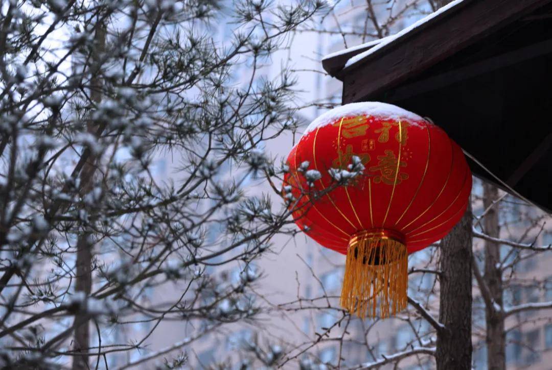 瑞雪|瑞雪踏春迎新年