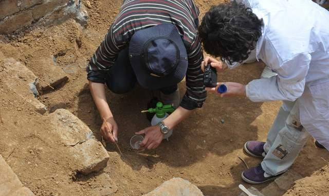 原创男子挖自家祖坟挖出珍稀瓷器以为法院会轻判结果被判死刑